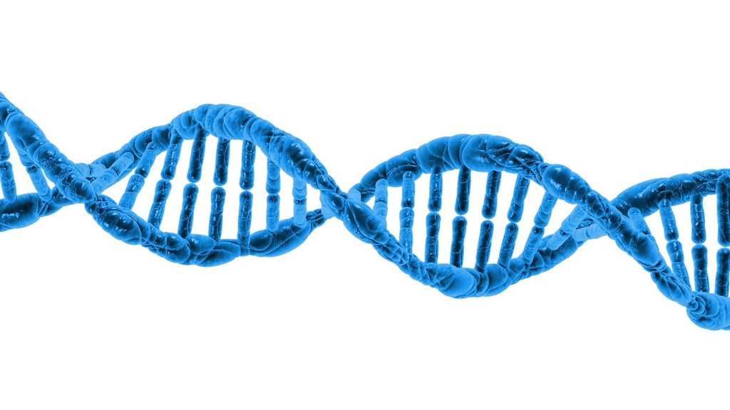 Reactie op Jansen et al. (2024): 16S rRNA-gen sequencing versus FISH bij darmmicrobioom analyse