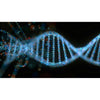 Webinar Opleiding Farmacogenetica in de complementaire zorg (deel 1)