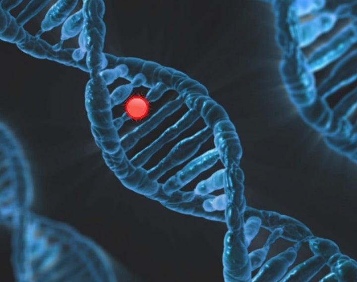 Webinar Farmacogenetica en Epigenetica: de praktische vertaling