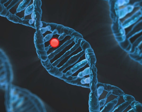 Webinar Farmacogenetica en Epigenetica: de praktische vertaling
