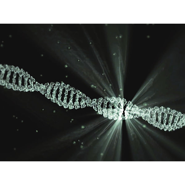 Webinar Verdiepingscursus Farmacogenetica en Epigenetica (deel 2)