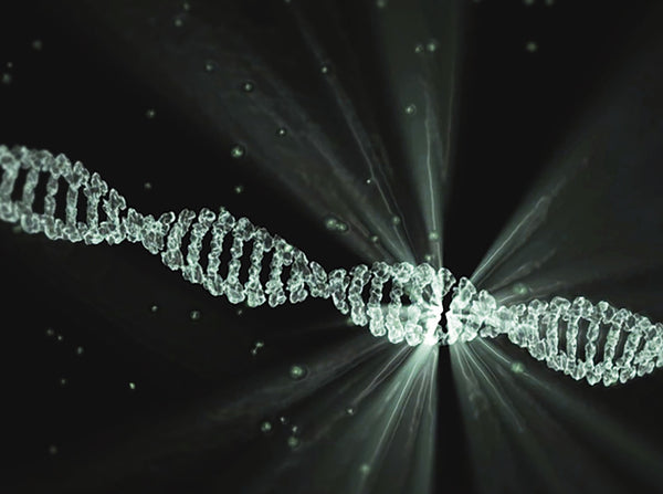 Webinar Verdiepingscursus Farmacogenetica en Epigenetica (deel 2)
