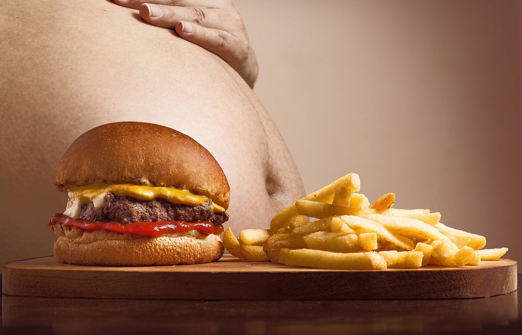 Darmmicrobioom en Obesitas