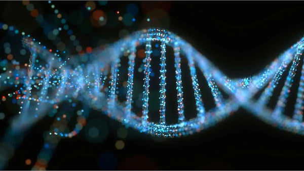 Webinar Opleiding Farmacogenetica in de complementaire zorg (deel 1)