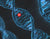 Webinar Farmacogenetica en Epigenetica: de praktische vertaling