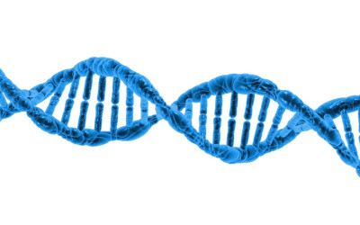 De impact van medicatie op jouw gezondheid: begrijp bijwerkingen met het Gamedi DNA Leverpaspoort