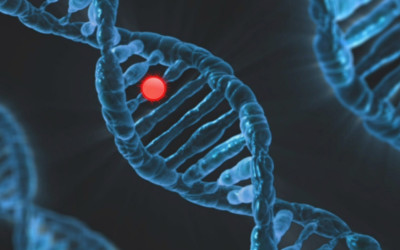 Optimaliseer je medicatiegebruik met Gamedi DNA Leverpaspoort