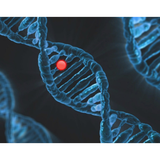 Webinar Farmacogenetica en Epigenetica: de praktische vertaling