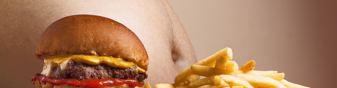 Darmmicrobioom en Obesitas