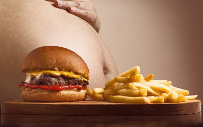Darmmicrobioom en Obesitas